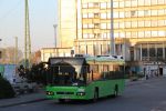IMG_5567.JPG