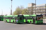 Bestandsnaam=IMG_5655.JPG
Bestandsgrootte=454KiB
Afmetingen = 1599x1066
Datum toegevoegd = 14 apr 2017 IMG_5655.JPG