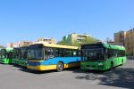 IMG_5675.JPG