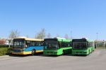 IMG_5704.JPG