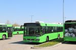 IMG_5714.JPG