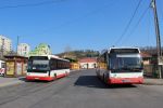 IMG_5794.JPG