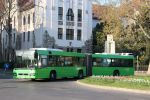IMG_5854.JPG