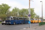 Bestandsnaam=IMG_6021.JPG
Bestandsgrootte=459KiB
Afmetingen = 1599x1066
Datum toegevoegd = 22 apr 2017 IMG_6021.JPG
