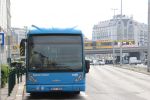 Bestandsnaam=IMG_6120.JPG
Bestandsgrootte=320KiB
Afmetingen = 1599x1066
Datum toegevoegd = 22 apr 2017 IMG_6120.JPG