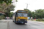 IMG_6404ddf.jpg