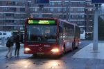 IMG_7564_9106_BN-ZN-95.jpg
