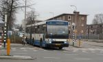 IMG_7768.jpg