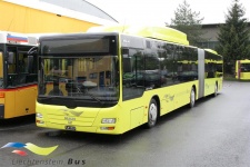 Liechtenstein_Bus_13_Stalling_Triesen_20-08-2007_FL_11513.JPG