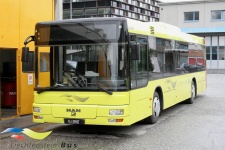 Liechtenstein_Bus_7_Stalling_Triesen_20-08-2007_FL_28507.JPG