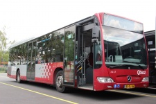 Q3227_BX-GL-86.JPG