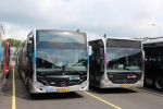 Q3429_33-BDN-8.JPG