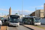 RAB9165.JPG