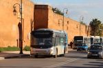 RAB9203.JPG