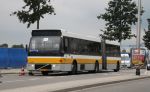 Spitax_7_bd_zg_78.jpg