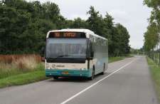 TCR_428_BT-NN-98.jpg