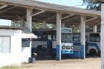 b058136IMG_7297.jpg