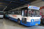 Bestandsnaam=bb-21-rd.JPG
Bestandsgrootte=402KiB
Afmetingen = 1600x1067
Datum toegevoegd = 08 jul 2016 bb-21-rd.JPG
