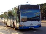 dsc01607sy.jpg