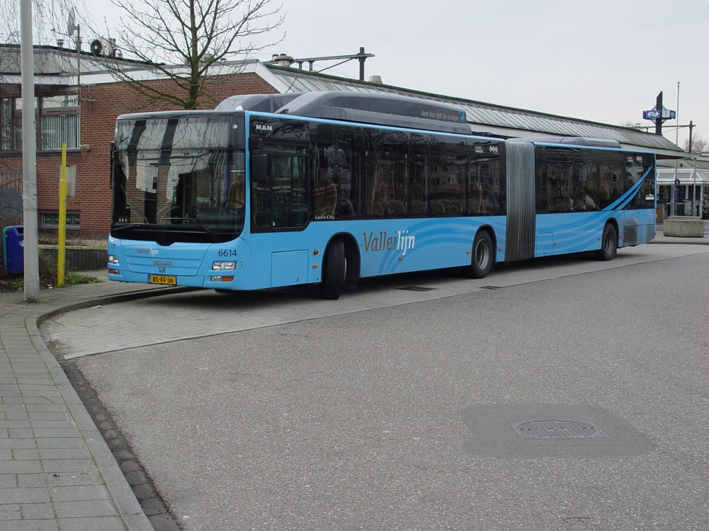 Klik op de foto om originele grootte te bekijken