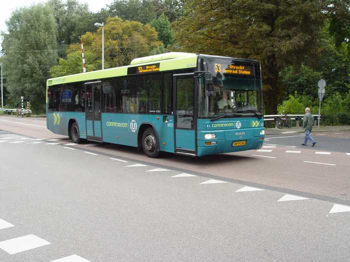 Klik op de foto om originele grootte te bekijken