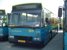 4427.jpg