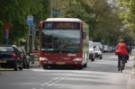 dsc3036.jpg