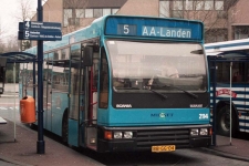 2114.JPG