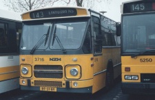 3716.JPG