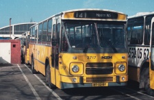 3717.jpg