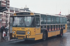3719.jpg