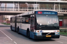 567.jpg