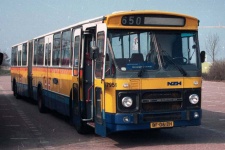 7951.JPG