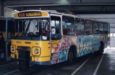 8204.jpg