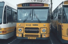 9726.JPG