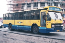 9811.jpg