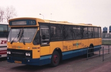 9882.JPG