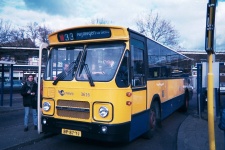 h_3616.jpg