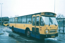 h_9435.jpg