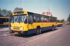 h_9556.jpg