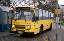 h_9560.jpg