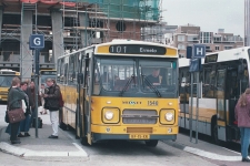 m_1540.jpg