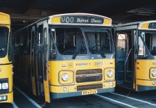 m_3640.jpg