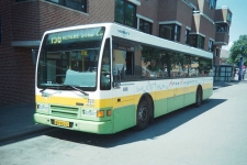 m_4971.jpg
