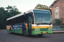 m_4981.jpg