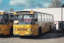 m_60159.jpg
