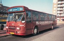 m_9886.jpg