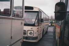 n_0884.jpg