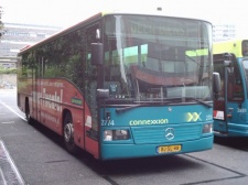 2774.jpg