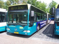 9147.jpg